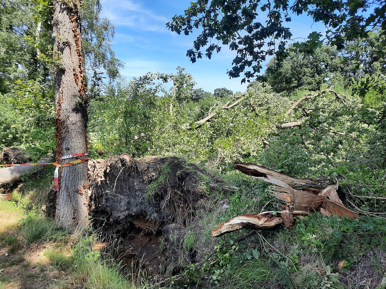 Stormschade in Winterswijk, juli 2025