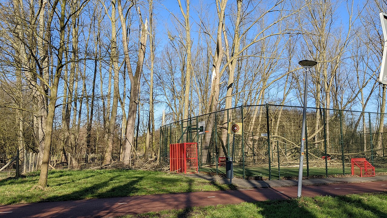 Stormschade in het Schiebroekse Park, Rotterdam