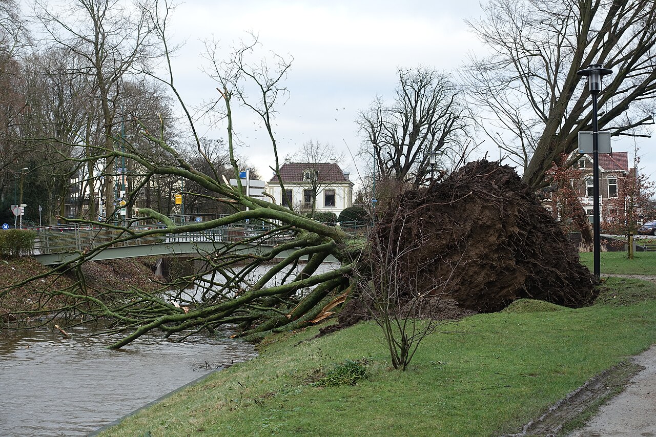 Stormschade in Woerden op 18 januari 2018